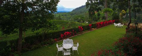 Governors Mansion In Hatton Sri Lanka Tea Estate Bungalow Luxury