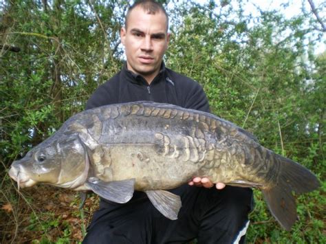 photo carpe carpe fully