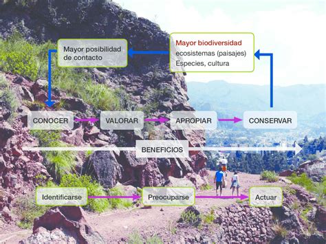 5 Lograr La Conservación De La Biodiversidad A Nivel Local Y Global