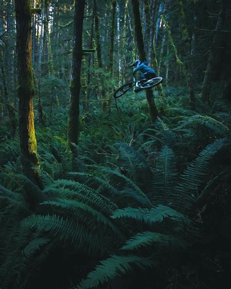 Pin By Shiver Tron On Mountainbiking Is Passion Mountain Biking