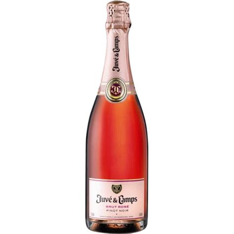 Cava Brut Rosado Pinot Noir Botella 75 Cl JUVE CAMPS Supermercado