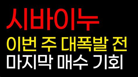 시바이누 이번 주 대폭발 전 마지막 매수 기회 Youtube