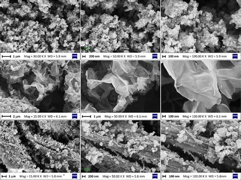 Fesem Images Of The Pure Uio Zr Cooh First Row Pure