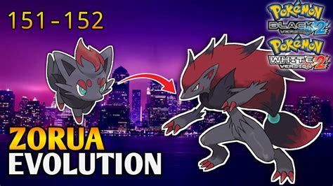 How To Evolve Zorua Into Zoroark In Pokemon Black White Unova