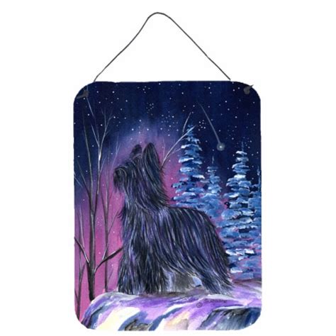 Carolines Treasures Ss8366ds1216 Starry Night Briard Wall Or Door Hanging Print 16hx12w Kroger