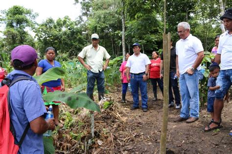 Avanza Implementaci N Del Plan De Desarrollo De Los Pueblos Ind Genas