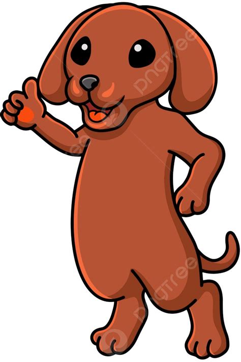 Cute Dibujos Animados De Perro Dachshund Dando Pulgar Hacia Arriba Png