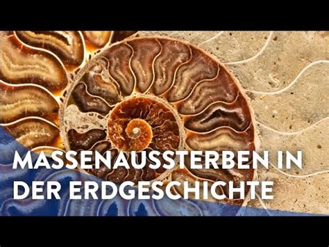 Werner E Piller Massenaussterben In Der Erdgeschichte Youtube