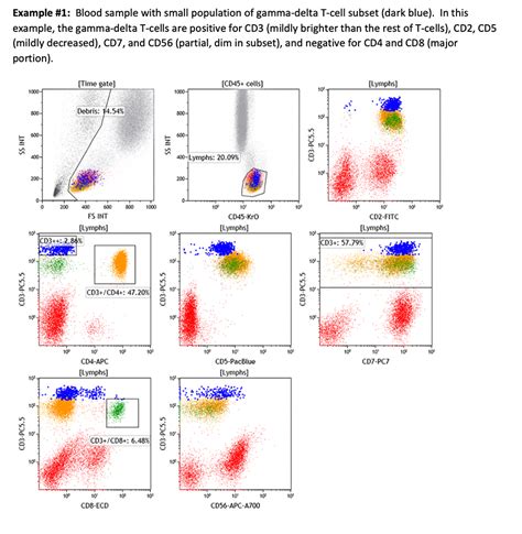 T Cells Flow Cytometry | Hot Sex Picture