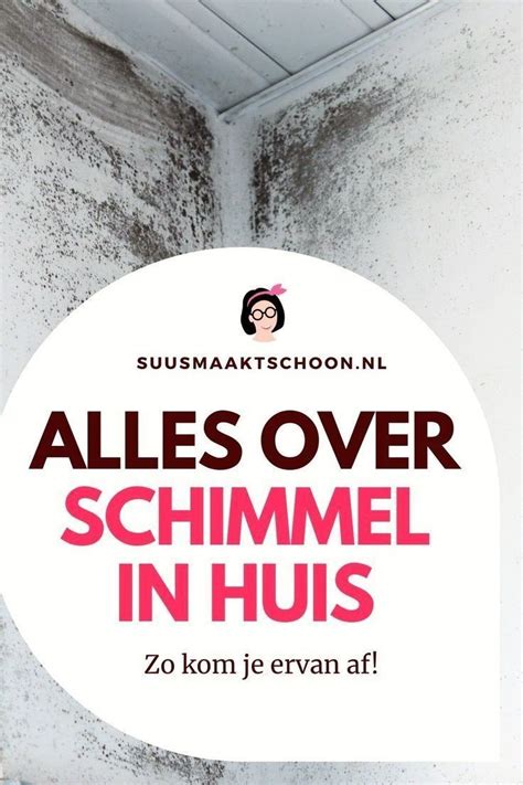 Heb Je Op Veel Plekken Schimmel In Huis Lees Dan Hier Alles Over