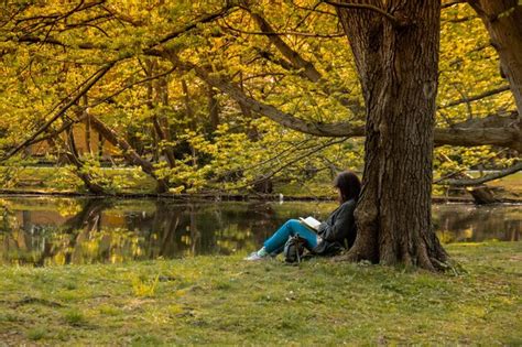 Premium Photo Attractive Young Woman Reading Book While Sitting On