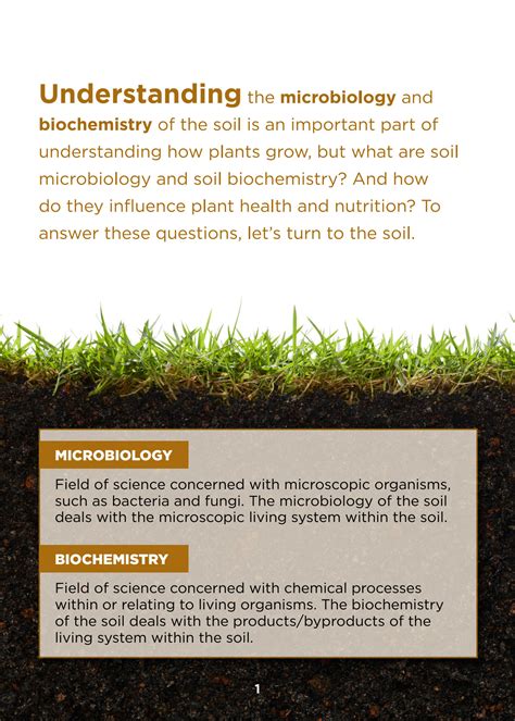 Solution Understand Soil Microbiology And Biochemistry Studypool