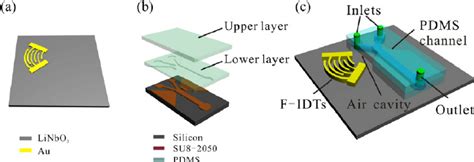 Schematic Of The F Saw Microfluidic Device A Linbo 3 Substrate With