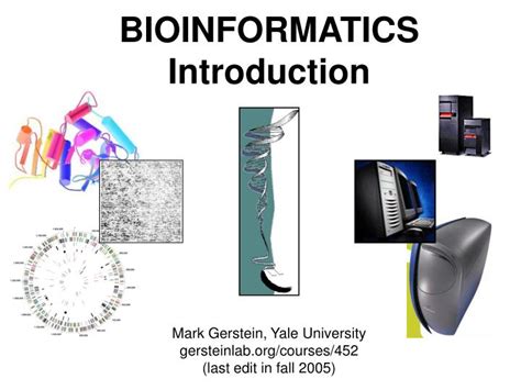 PPT BIOINFORMATICS Introduction PowerPoint Presentation Free