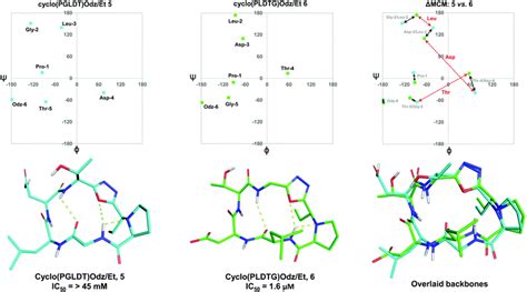 Navigating Complex Peptide Structures Using Macrocycle Conformational