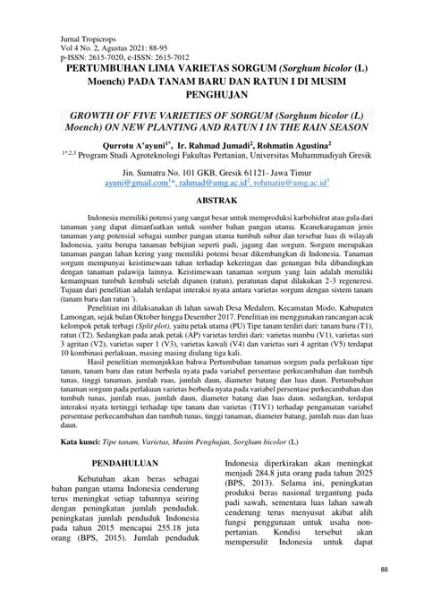 PDF Growth Of Five Varieties Of Sorgum Sorghum Bicolor L Moench