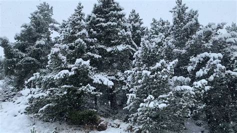 Àlex Van der Laan on Twitter Estic flipant Esta nevant la