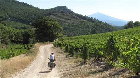 Provence La R Gion Du Mont Ventoux Une Destination Vtt Routard