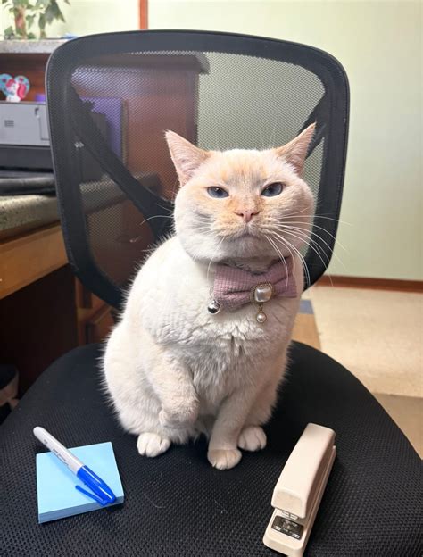 Parkway Animal Hospital added a... - Parkway Animal Hospital