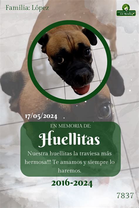 HUELLITAS Camposanto De Mascotas Los Rosales