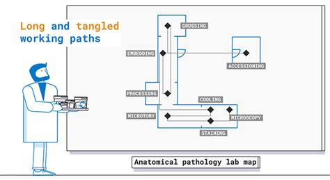 An Introduction To Anatomical Pathology Inpeco