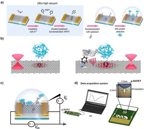 Hepatitis C más fácil de detectar con este nuevo biosensor basado en