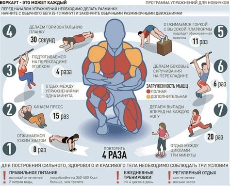 Программа тренировок для новичка | Пикабу