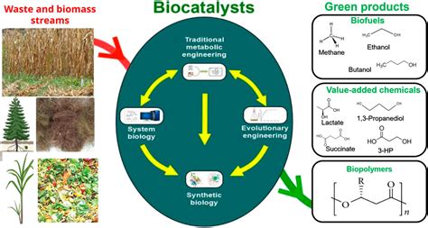 Frontiers Editorial Design And Application Of Biocatalysts For