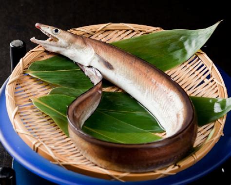 はも料理の三田山田屋｜港区三田・田町｜はもコース／はもしゃぶしゃぶ／はも寿司