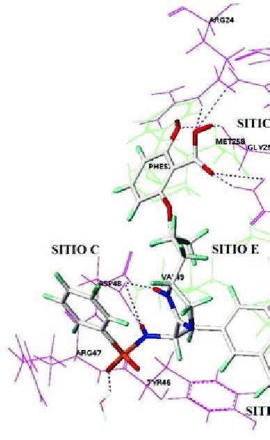 Acoplamiento Molecular Entre El Ligando IZN 15 Y La PTP 1B Rosado A A