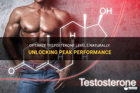 Optimize Testosterone Levels Naturally Unlocking Peak Performance