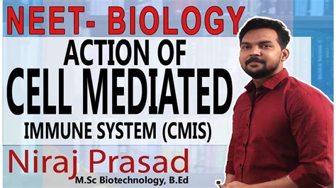 Mode Of Action Of Cmis Cell Mediated Immune Response Immunology