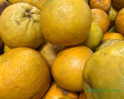 The Benefits And Origins Of Sour Oranges A Culinary And Healing Fruit