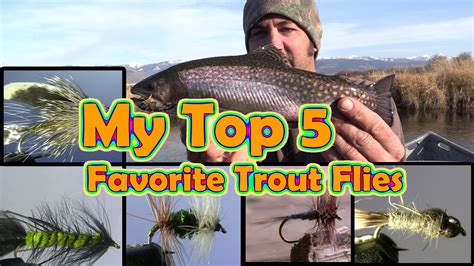 My Top 5 Favorite Trout Flies The Best Flies For Trout Opinion