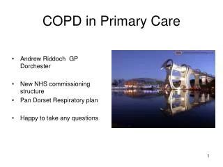 Ppt Diagnosis Assessment And Treatment Of The Copd Patient In