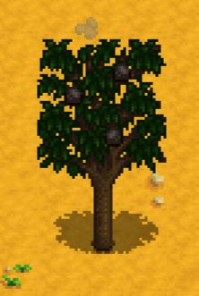 Apricot Tree - Stardew Valley Wiki