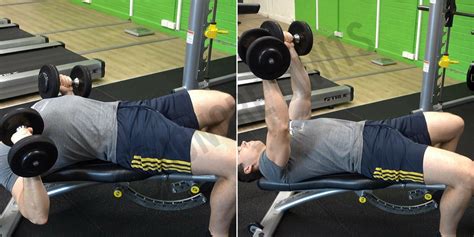 How To Decline Dumbbell Bench Press Ignore Limits