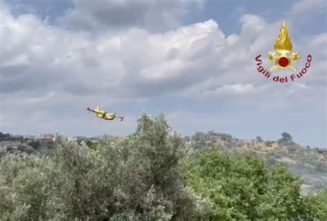 Incendi Fuoco Minaccia Case Canadair In Azione Nel Crotonese Il