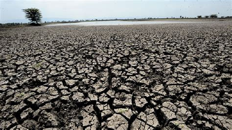 Cambio Clim Tico Informe De La Onu Advierte Que Casi La Mitad De La