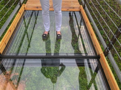 Glass Panel Cracks On Gatlinburg Skybridge After Guest Does Baseball Slide