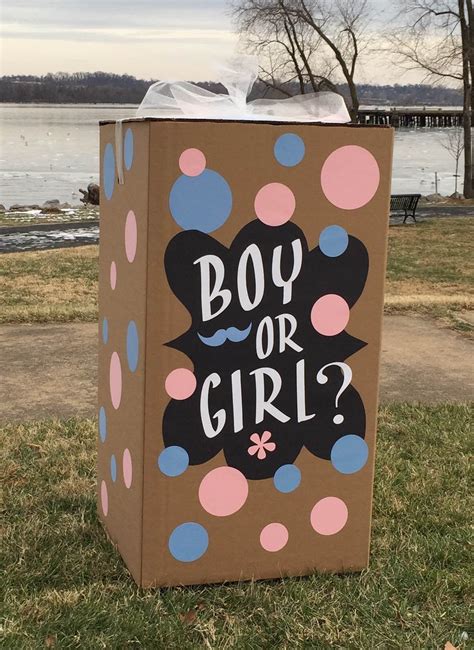 How To Make A Gender Reveal Box Diy Gender Reveal Box Ideas Artofit