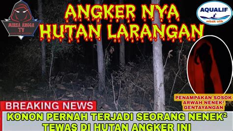 Misteri Hutan Larangan Fenomena Penampakan Sosok Nenek Tua Youtube