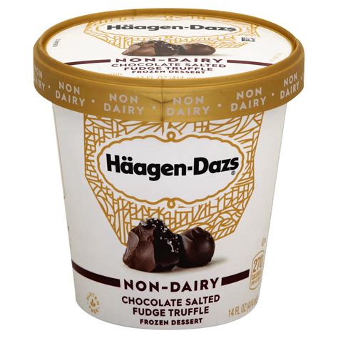 Haagen Dazs Non Dairy Chocolate Salted Fudge Truffle Frozen Dessert