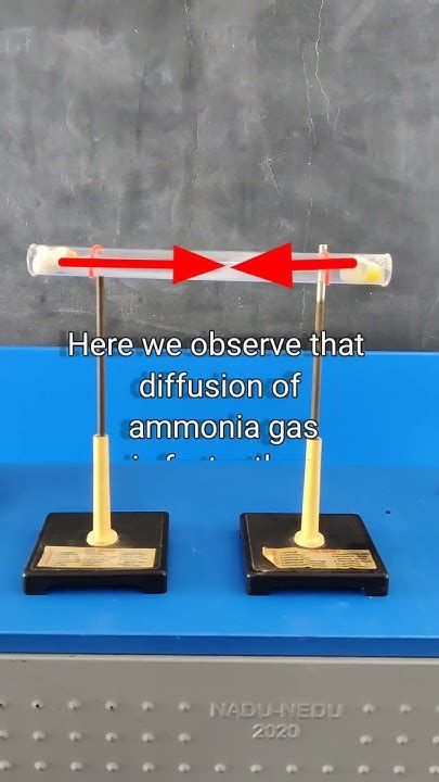 Diffusion Of Ammonia And Hydrogenchloride Gases Shortvideos Science