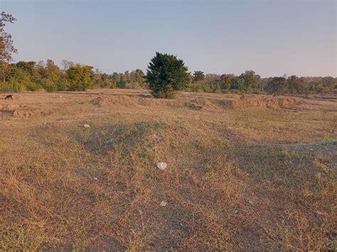 Agricultural Land Acre For Sale In Kurai Seoni Rei