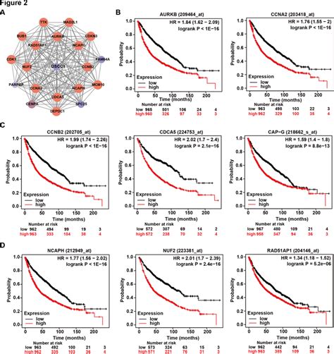 The High Levels Of Dscc Coexpressed Genes Predict Poor Outcomes Of