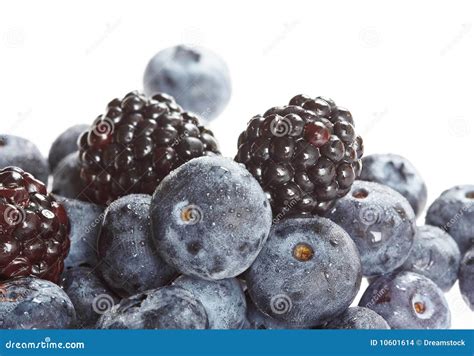 Frutas De Baga Foto De Stock Imagem De Maduro Doce