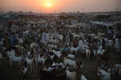 Eid Ul Azha Festival In Uae 2024 Emelia Sidonnie