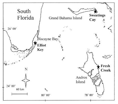 Printable Bahamas Island Map – Free download and print for you.