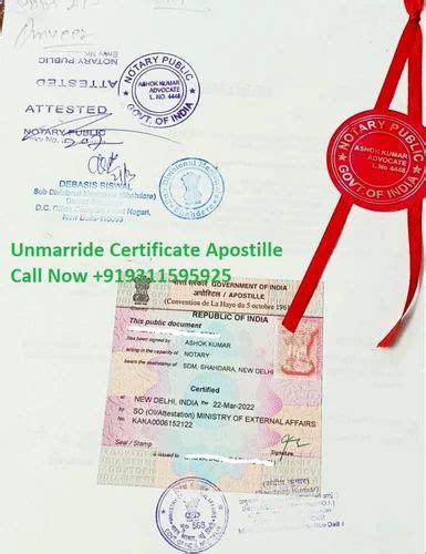 Education Certificate UAE Embassy Attestation Service At Rs 6000